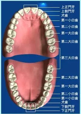 好好的牙齿,为什么医生说拔就拔