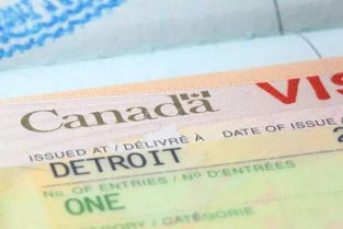 重要提醒 伪造的签证,加拿大 美国签证预警 