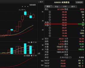 为什么林海股份，没有什么业绩却一直涨？