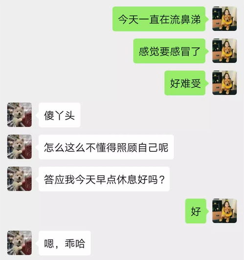 别撩了,我懒得回 那都 