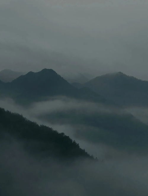 不显山不露水,东方哲学之道