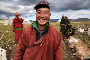 蒙古游牧生活 难以捉摸的美