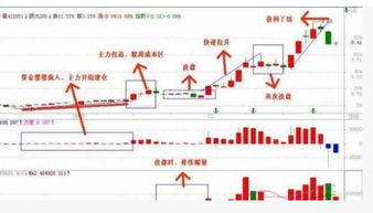 主力建仓被套的个股谁知道，进来都说说经验