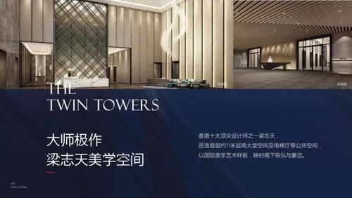 双子湾公寓在深圳什么地方 2021 楼盘图文解析