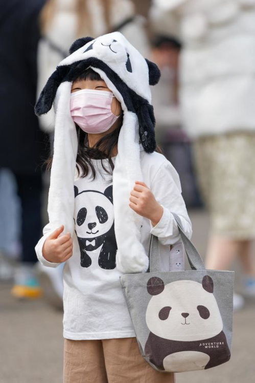 送 香香 回中国,日本朋友忍不住哭了出来