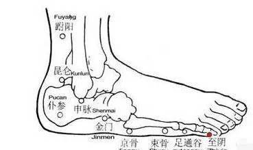 养腿就是养命 腿上这几个穴位几乎能调养全身