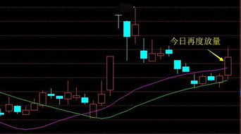 庄家高度控盘的股票有什么特征