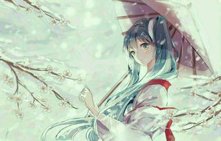 初音未来,是真人吗 