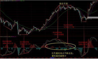 哪款炒股软件可以看到游资投票涨停预测的股票？