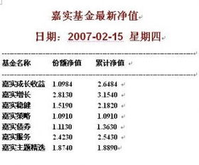 嘉实基金1份额等于多少人民币