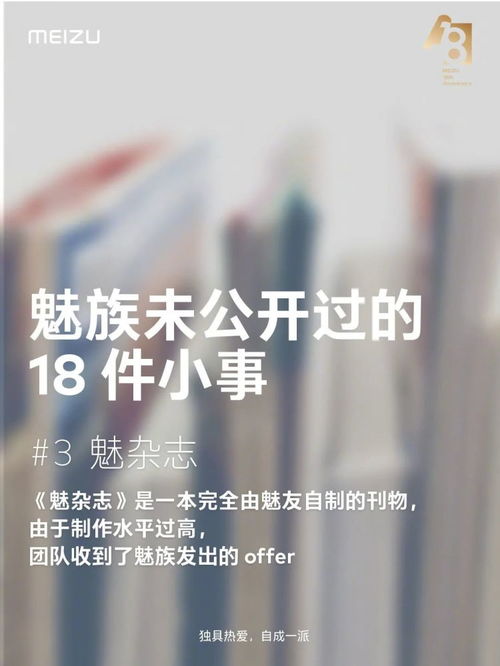 魅族 18 周年 独具热爱,自成一派