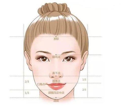 北京彤美整形医院分析 女生鼻型分类图