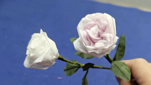 用纸巾做一朵简单好看的玫瑰花,纸艺手工花,卫生纸做花教程 