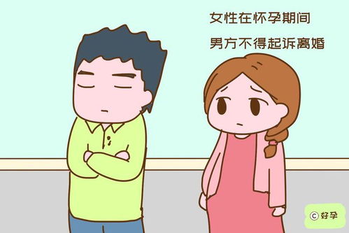 新婚姻法规定,离婚时有两种人的起诉权会被限制,对孕妈也有好处