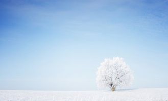 冬季命理系列 木命人生于冬季该补什么五行 