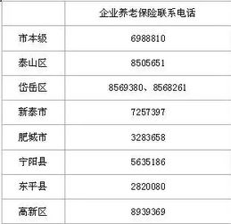 企业职工养老保险 退休能领多少钱