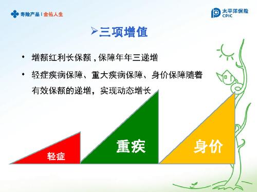 太平洋保险 分红