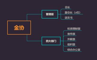 金融投资理财协会搞些什么活动好