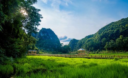 贵州旅游小众景点,千年布依古寨高荡