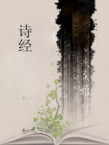 如何理解先秦文学中的自然现象风雨