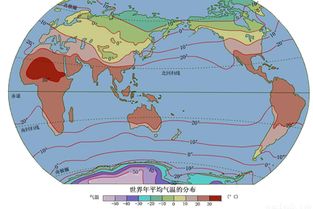 读世界轮廓图.完成下列各题.1.图中甲地区的人们主要信仰的宗教是 A. 基督教 B. 伊斯兰教 C. 佛教 D. 印度教2.图中甲.乙.丙.丁四个地区.人口最稀疏的是 