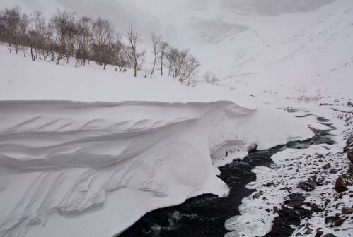 东北最有名的滑雪场 (东北最大的滑雪场)