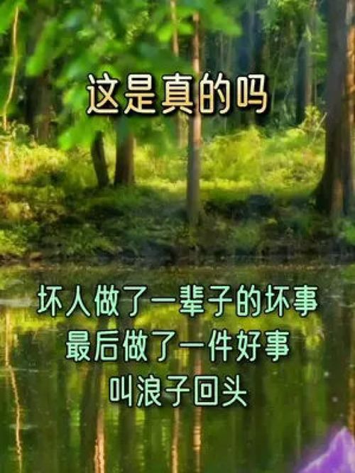 情感励志的原声创作背景,山之高是哪年的歌？