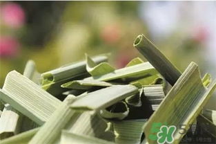 香茅草有什么作用 香茅草的功效与作用