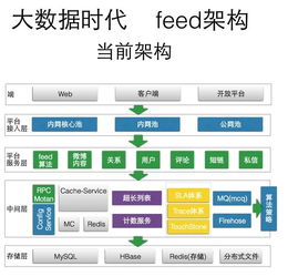 有机农产品产业发展路径和建议