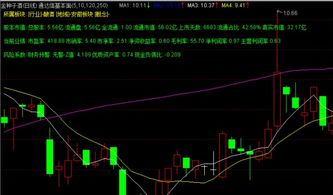 新时代通达信上可以查到股票的市盈率嘛？