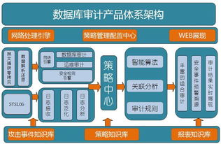 国内比较好的数据库审计厂家有哪些