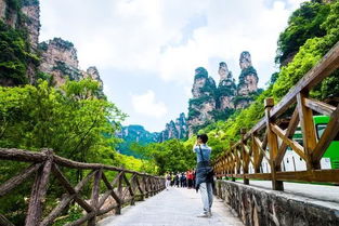 张家界旅游自驾游景区停车张家界哪里有车停车(恩阳古镇免费停车场有哪些)