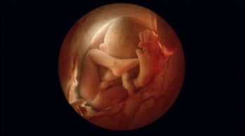 原创胎儿有这3种表现，原来是他开始“认人”的表现，看完心里好暖