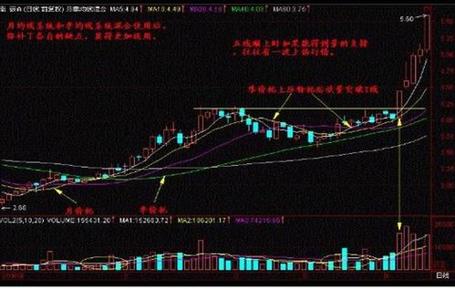 看好一个股票，但是本金比较少，哪里可以提供资金？