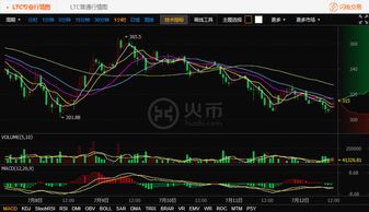 莱特币12月最新行情,莱特币今日最新行情价格