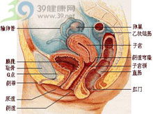 阴道痉挛怎么治可以用药吗