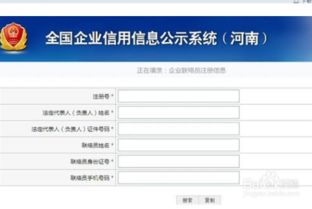 全国企业信用信息公示系统基本信息怎样填写