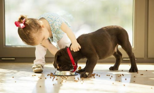 宝宝与狗狗不能共存 专家说,狗狗的存在让宝宝更健康