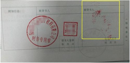 什么是空白背书和记名背书？它们在实际应用中有什么区别？