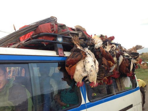 肯尼亚 旅行路上,越危险的地方可能越迷人