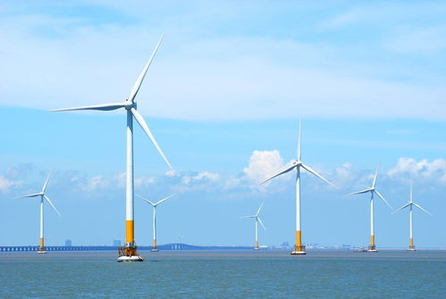全球最大漂浮式海上风电项目开工！受益上市公司梳理