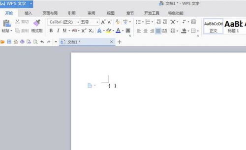 wps分数怎么使用，wps office分数