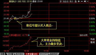 LEVE2 10档行情的好处？可以看出买盘洗盘到什么位置，拉升？？？