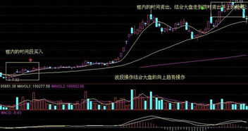 什么是长线持有短线操作