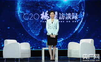 杨澜访谈录 特别节目开播 青春视角中的G20
