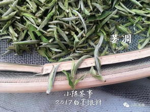 绿茶的青味是什么感觉