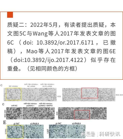 选择新医学查重，轻松应对学术论文重复率挑战