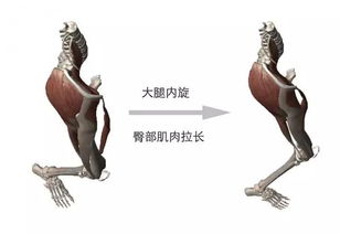 郑秀晶 我没胖