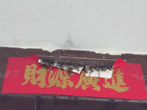 燕子在我家对联的横批上做窝,我怕纸承受不起能不能在底下做一个支架 