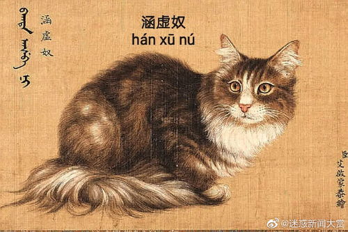 古代的猫咪名字有多古雅